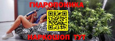 бошки Гусь-Хрустальный