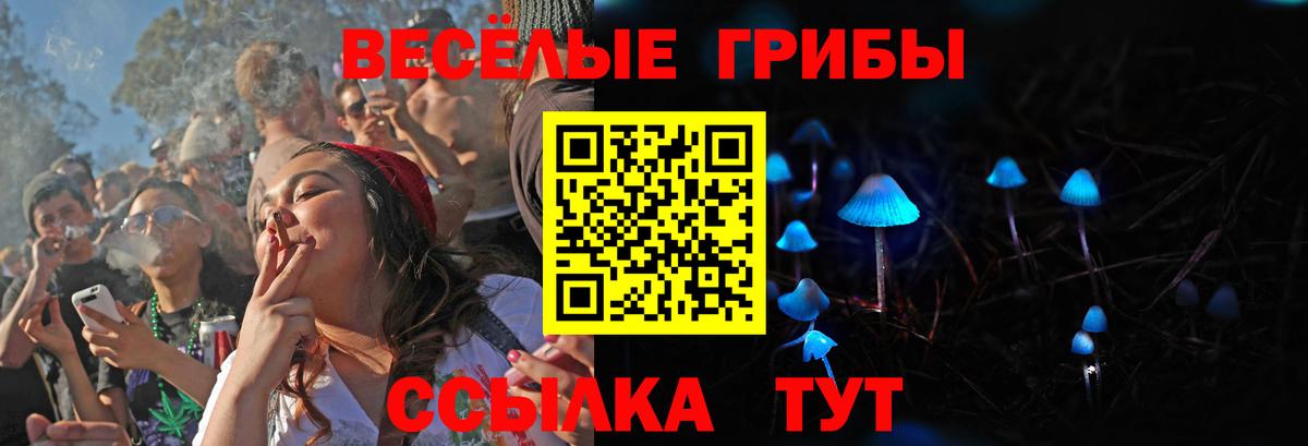 Галлюциногенные грибы Psilocybe Менделеевск